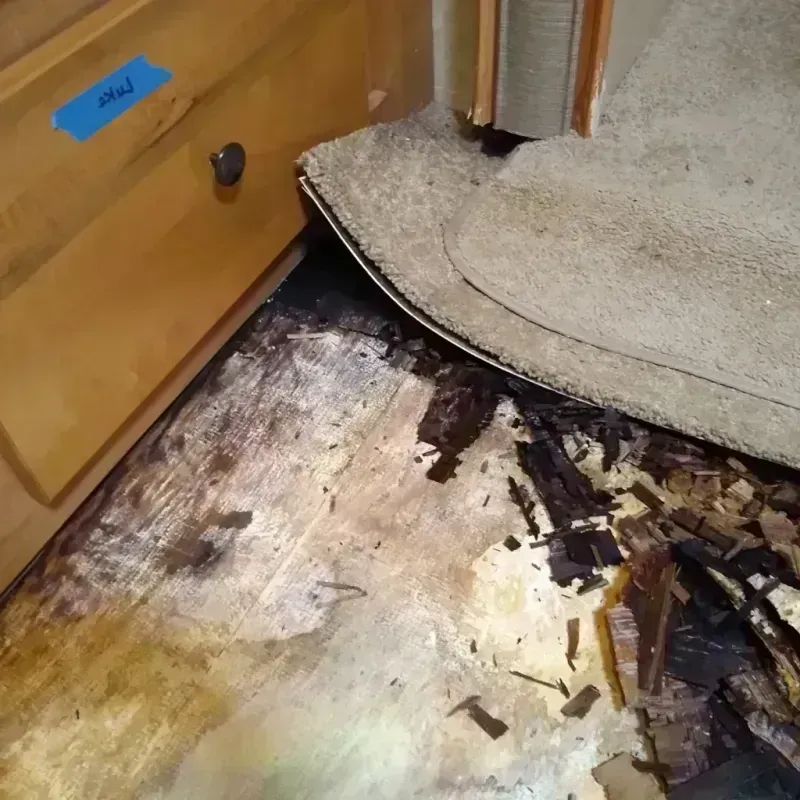 Wood Floor Water Damage in Falls Church, VA